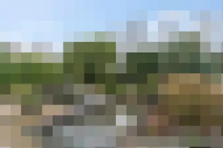 Wildenborg 64 Barneveld thumbnail 38