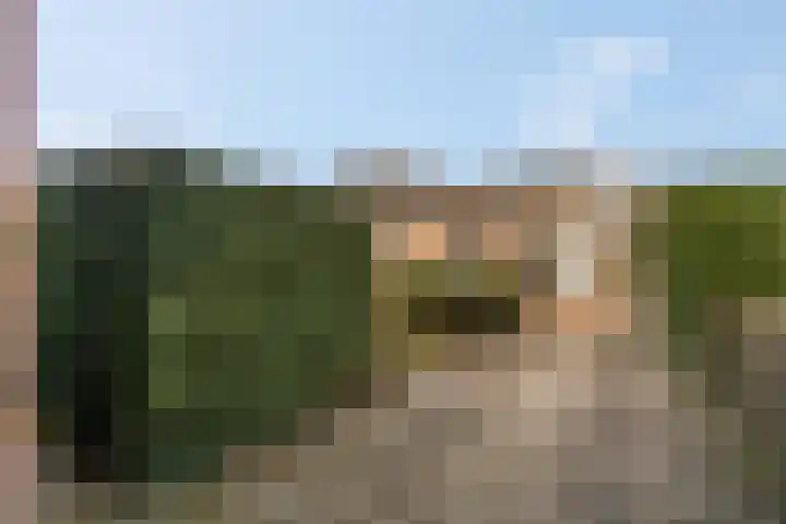 Wildenborg 64 Barneveld thumbnail 40