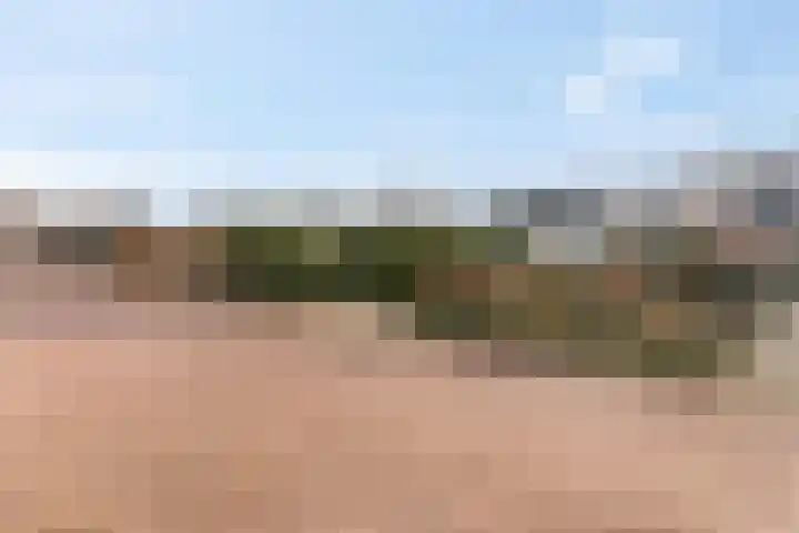 Wildenborg 64 Barneveld thumbnail 41