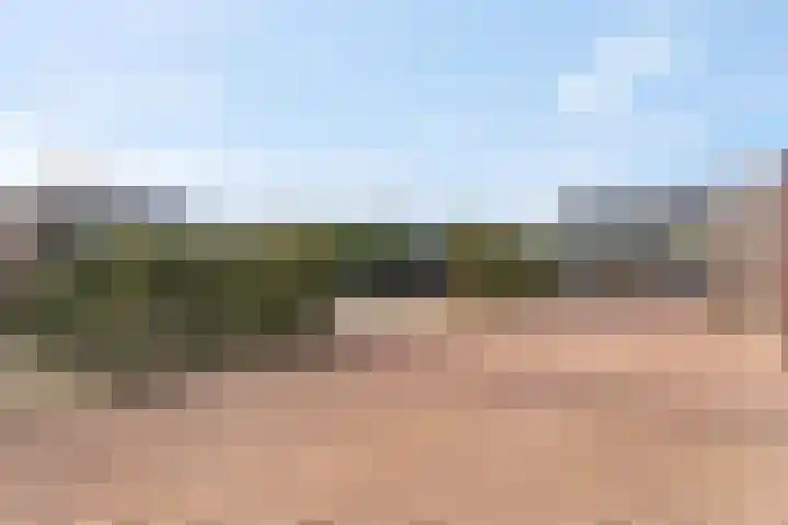 Wildenborg 64 Barneveld thumbnail 42