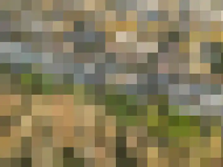 Wildenborg 64 Barneveld thumbnail 43