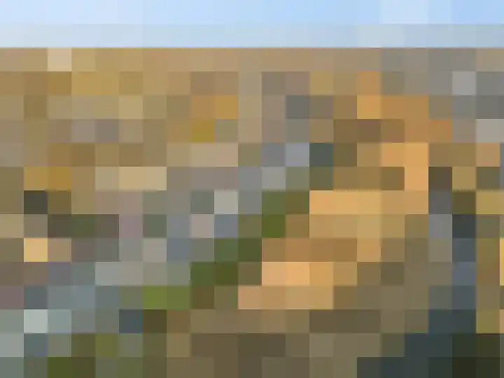 Wildenborg 64 Barneveld thumbnail 44