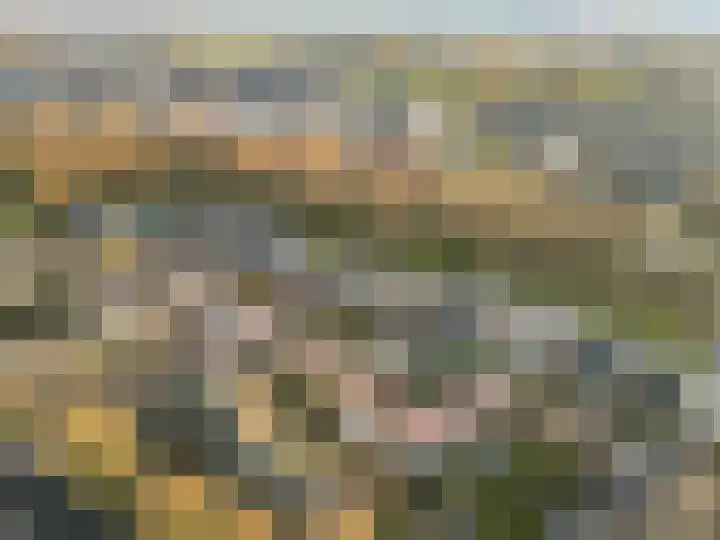 Wildenborg 64 Barneveld thumbnail 45