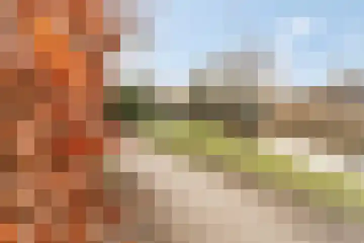 Wildenborg 64 Barneveld thumbnail 46