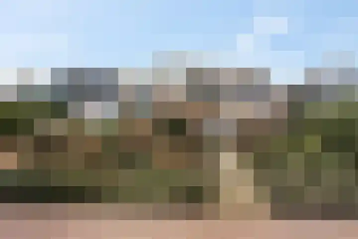 Wildenborg 64 Barneveld thumbnail 6