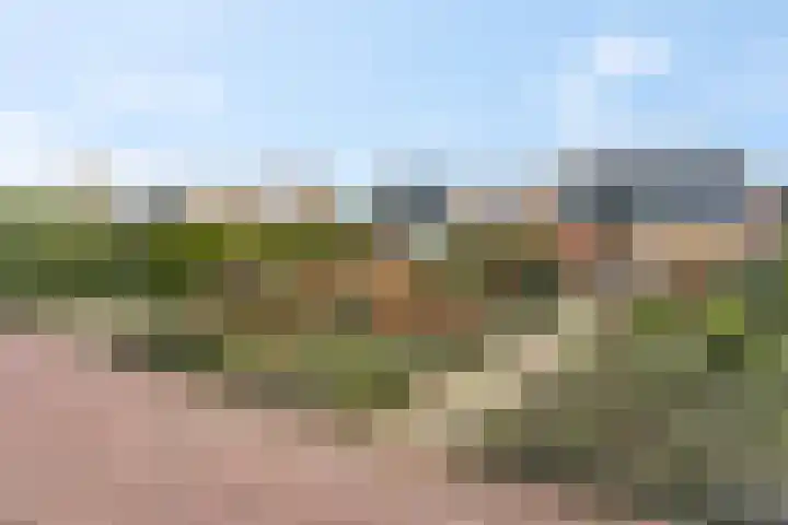 Wildenborg 64 Barneveld thumbnail 7