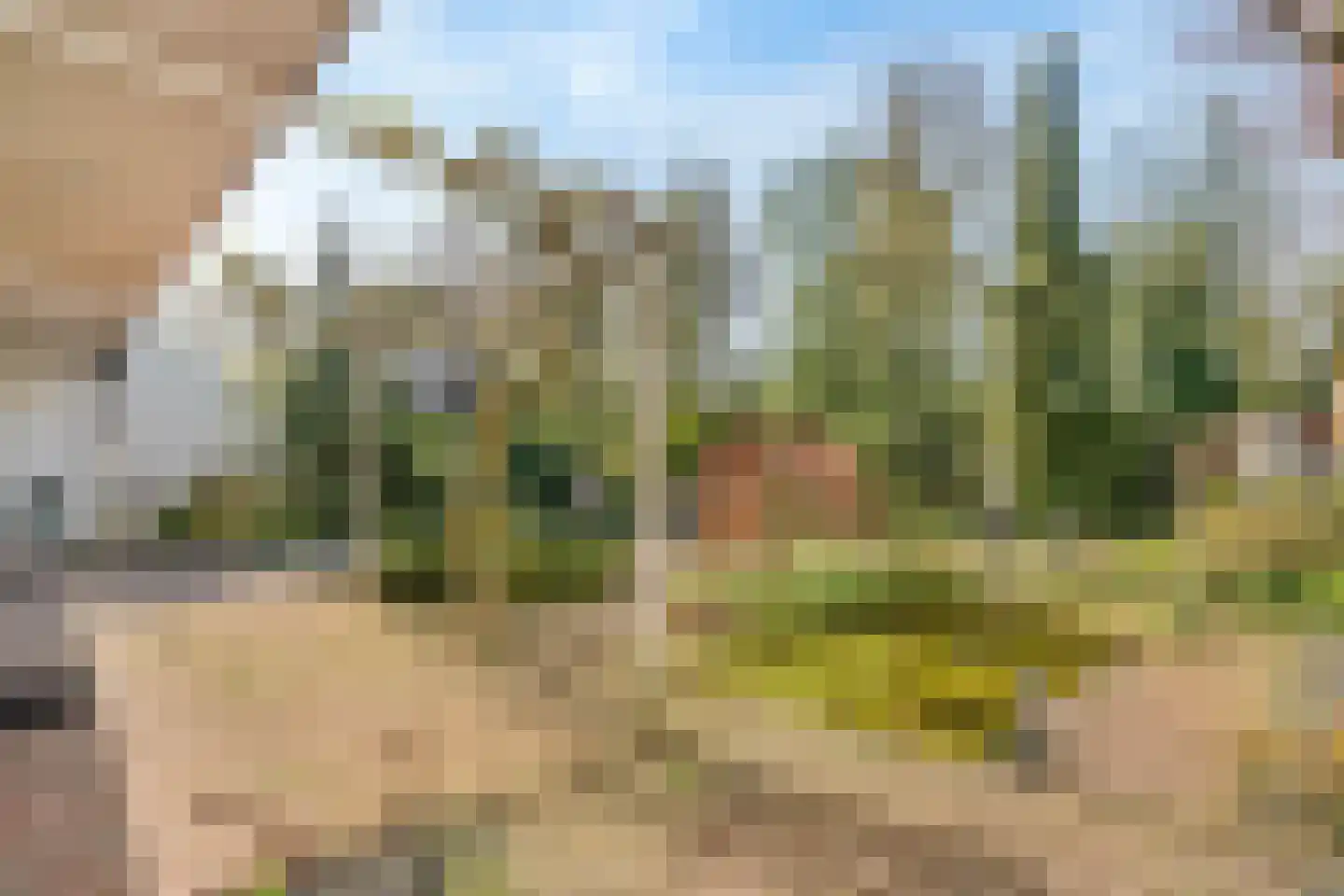 Wildenborg 70 Barneveld thumbnail 18