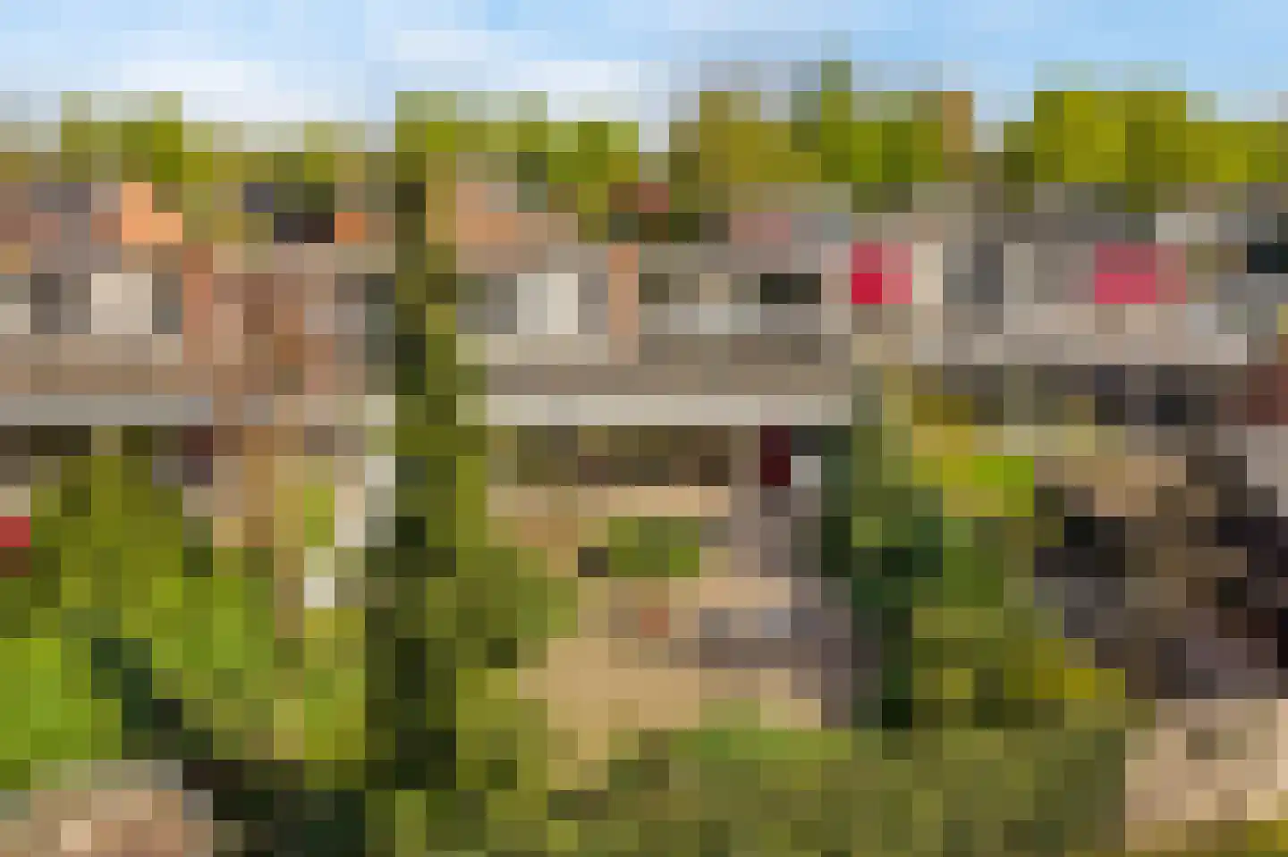 Wildenborg 70 Barneveld thumbnail 26