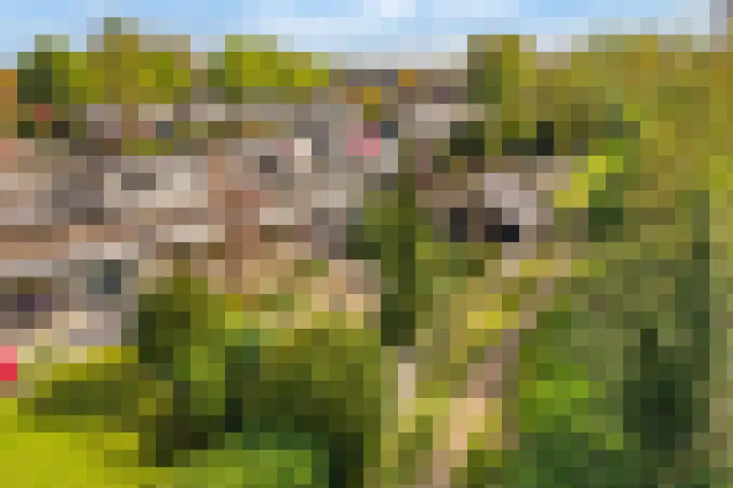 Wildenborg 70 Barneveld thumbnail 27