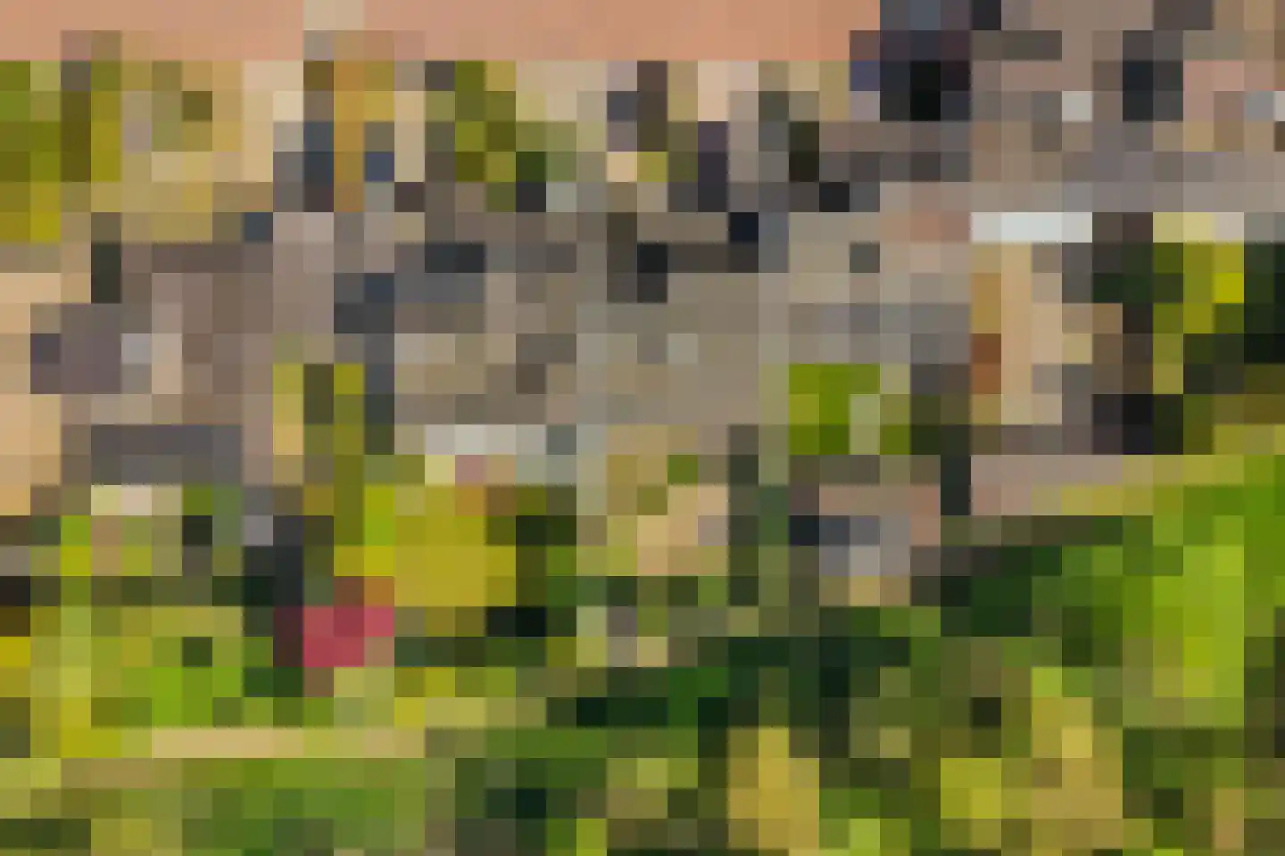 Wildenborg 70 Barneveld thumbnail 28