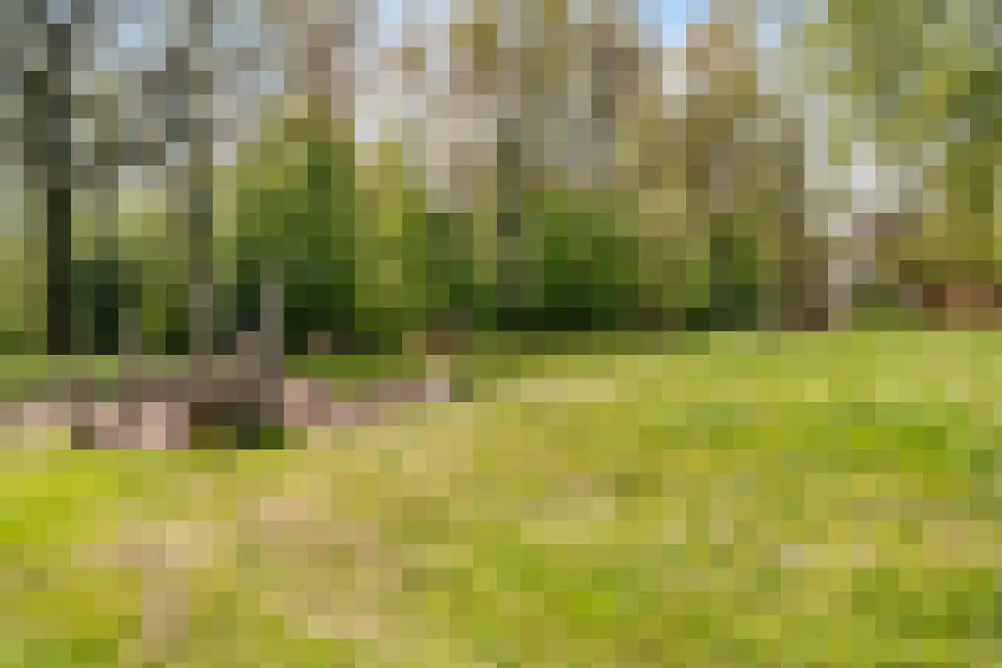 Wildenborg 70 Barneveld thumbnail 29