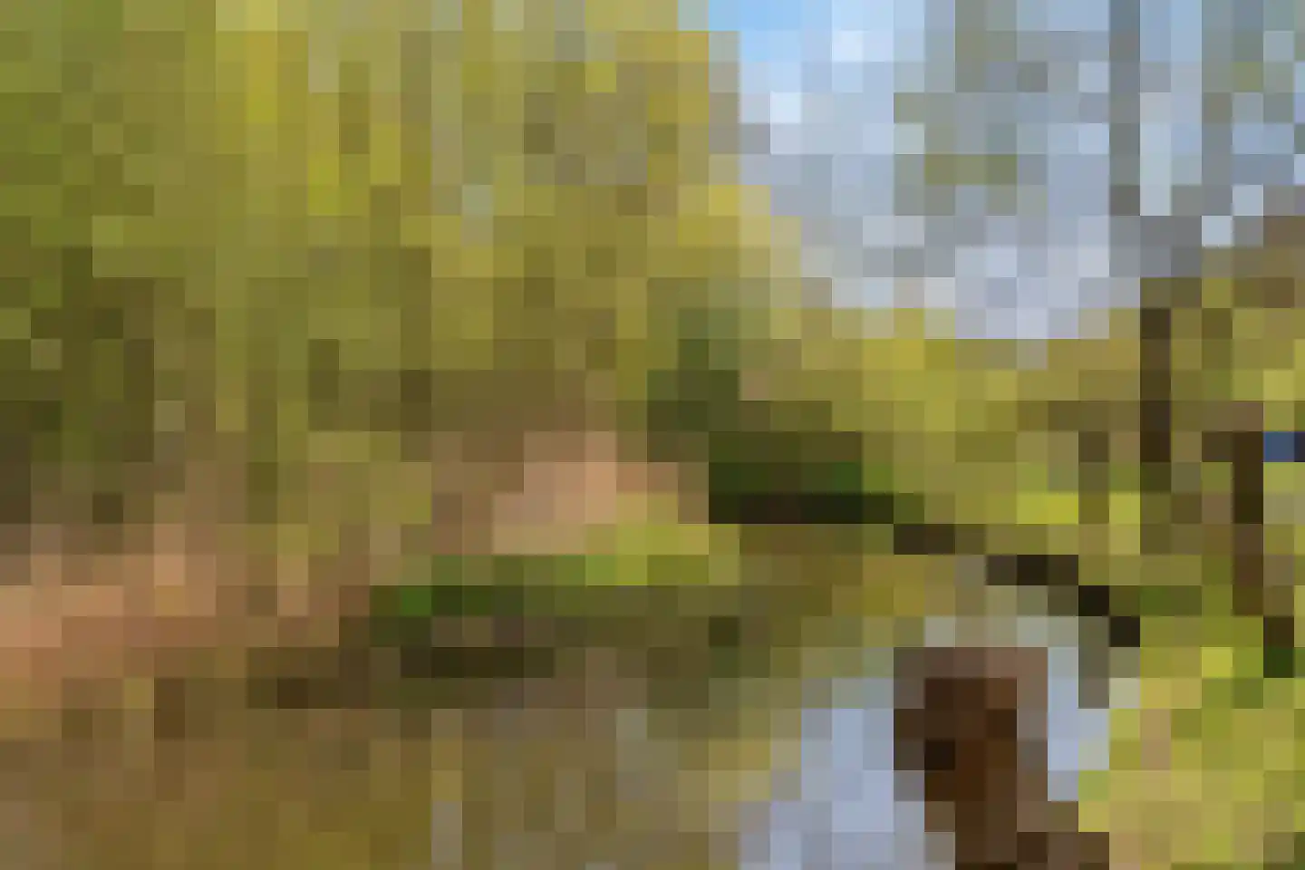Wildenborg 70 Barneveld thumbnail 30