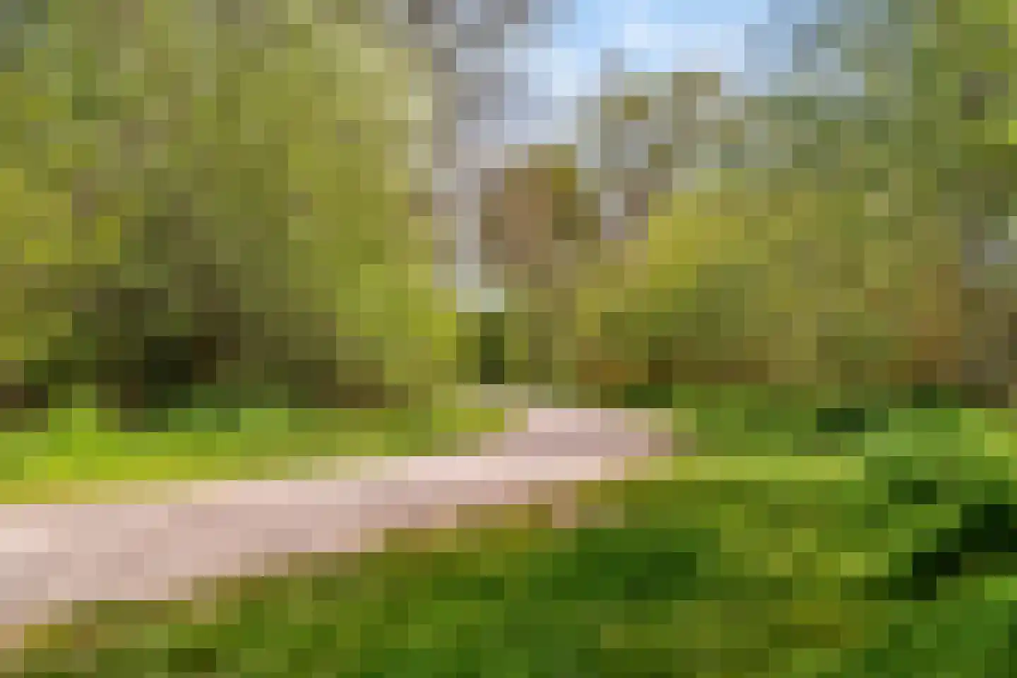 Wildenborg 70 Barneveld thumbnail 31