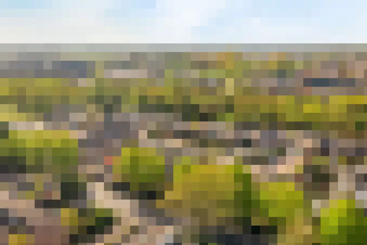 Wildenborg 70 Barneveld thumbnail 32