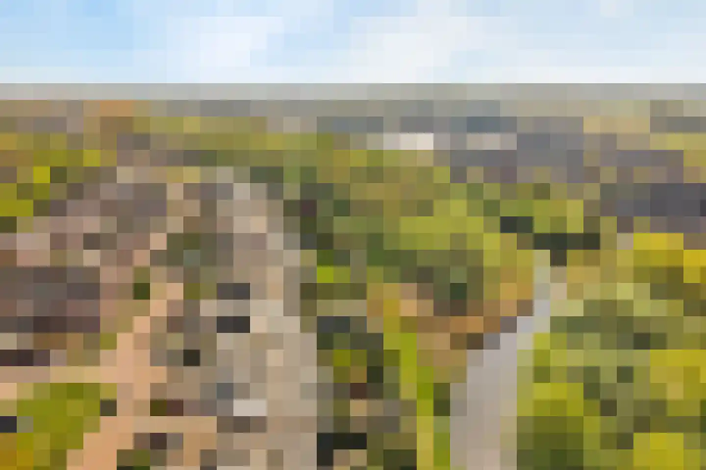 Wildenborg 70 Barneveld thumbnail 33