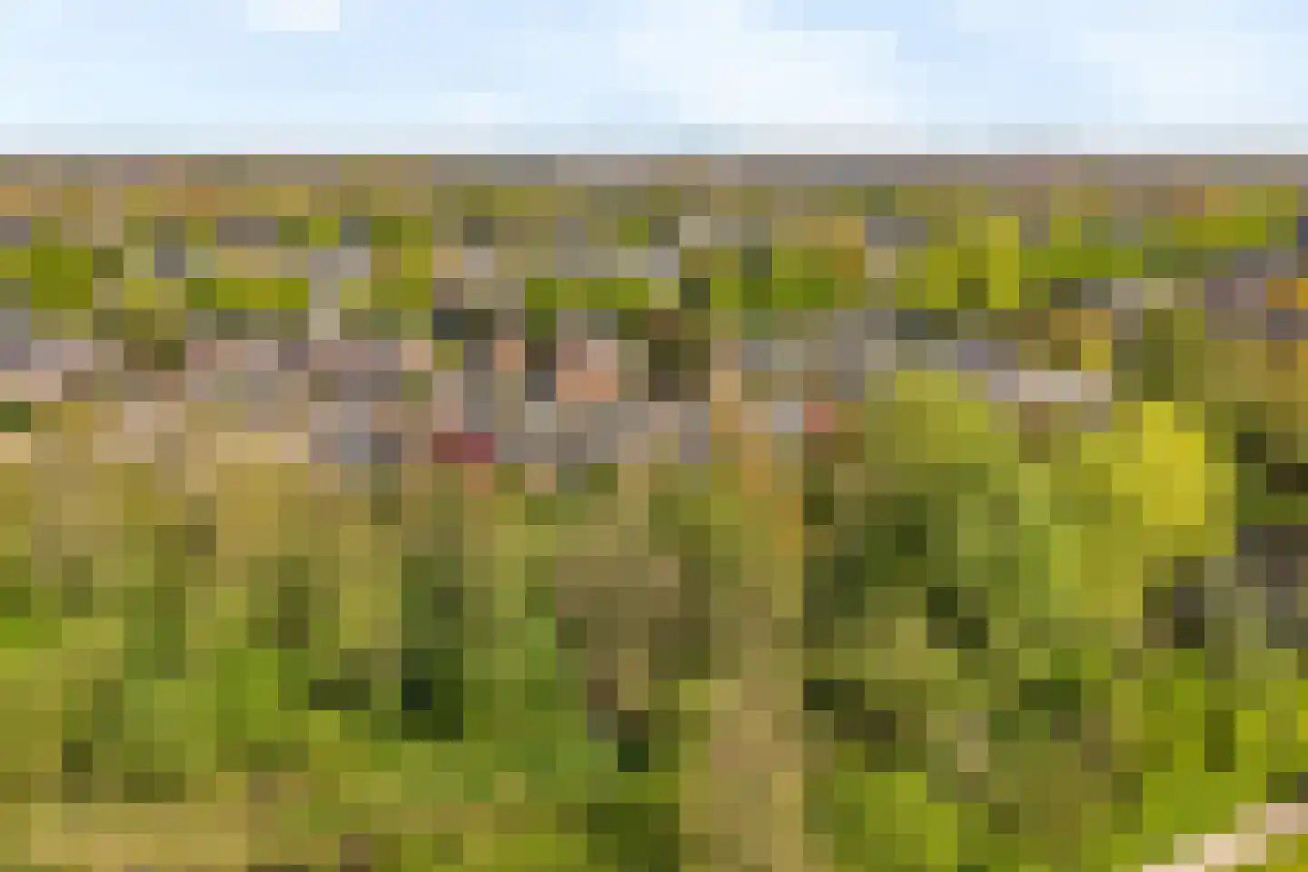 Wildenborg 70 Barneveld thumbnail 34