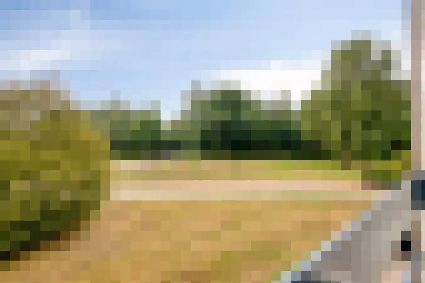 Wildenborg 79 Barneveld thumbnail 35