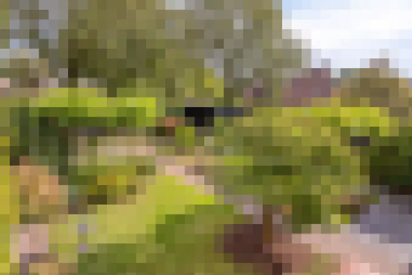 Wildenborg 79 Barneveld thumbnail 38