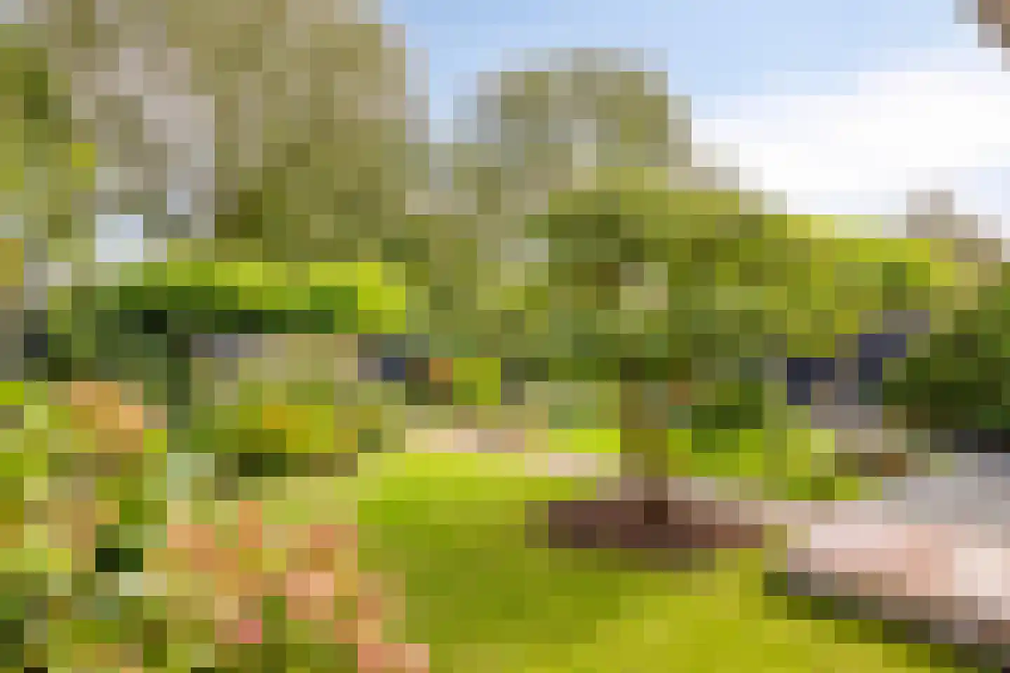 Wildenborg 79 Barneveld thumbnail 39