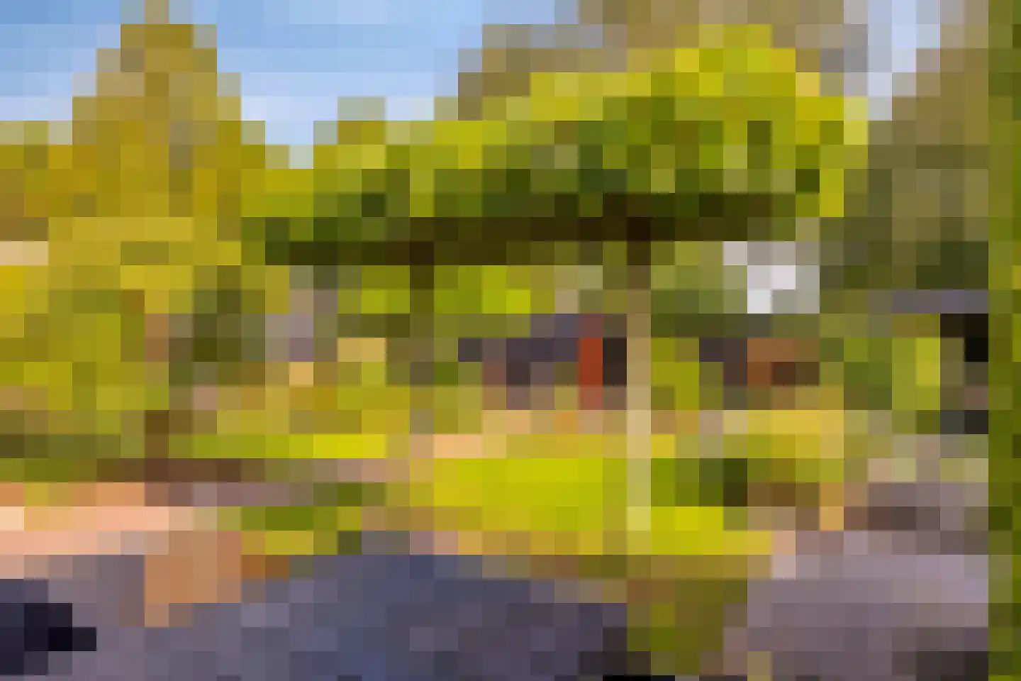 Wildenborg 79 Barneveld thumbnail 40