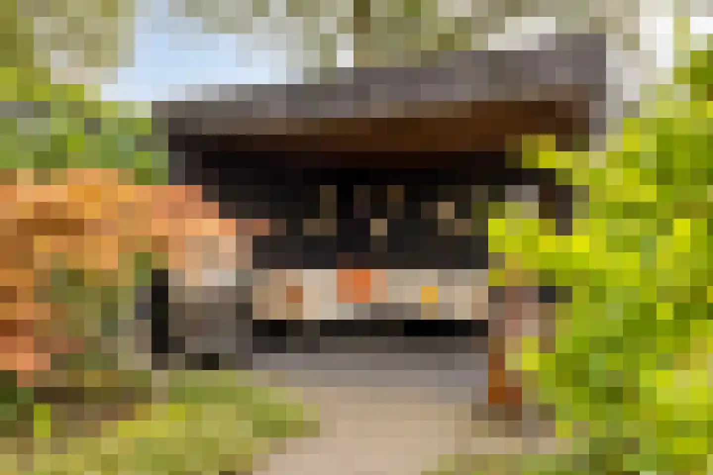 Wildenborg 79 Barneveld thumbnail 42
