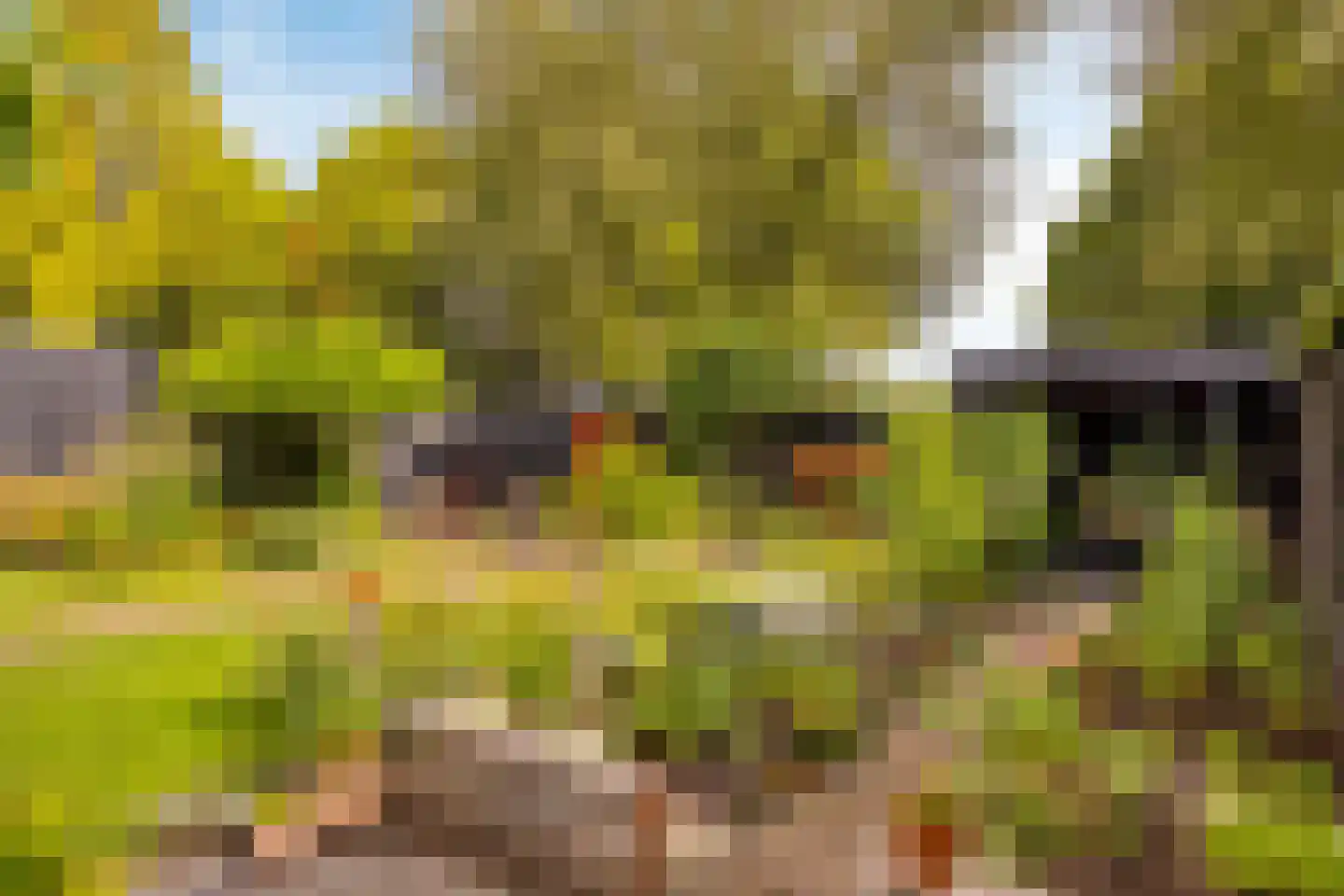 Wildenborg 79 Barneveld thumbnail 43