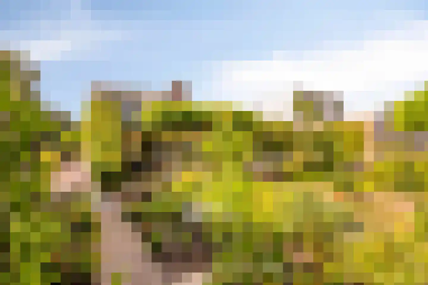 Wildenborg 79 Barneveld thumbnail 44
