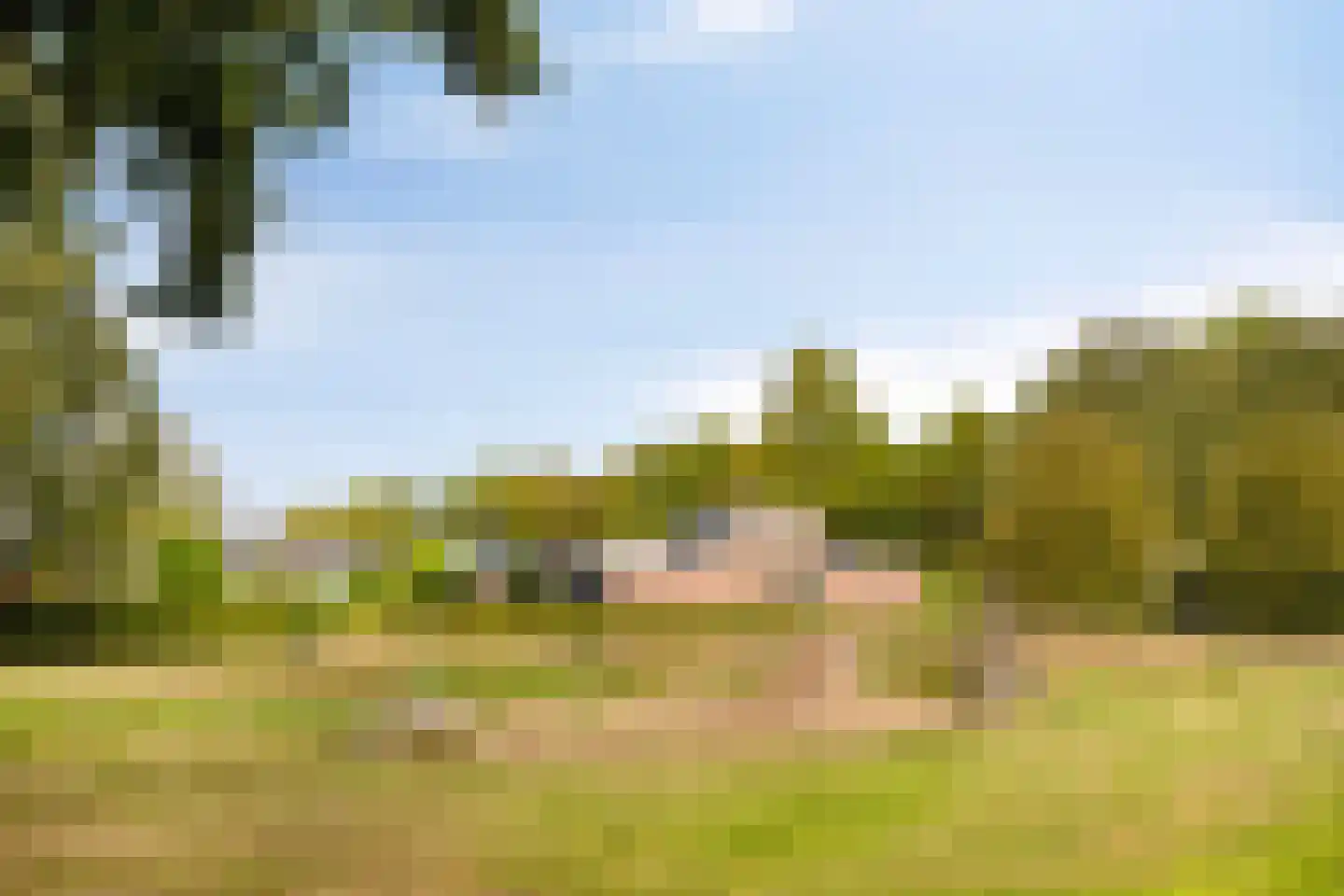 Wildenborg 79 Barneveld thumbnail 48