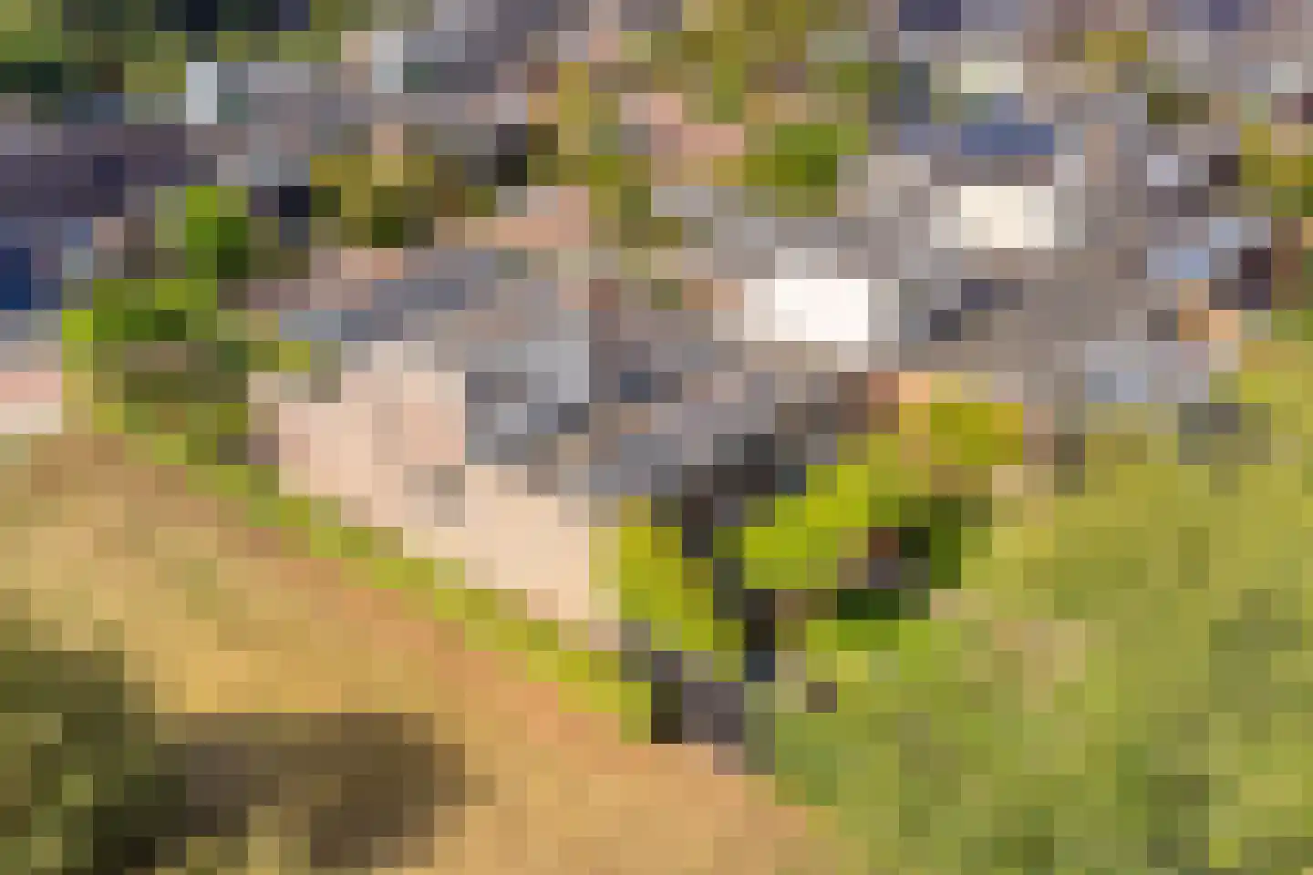 Wildenborg 79 Barneveld thumbnail 49
