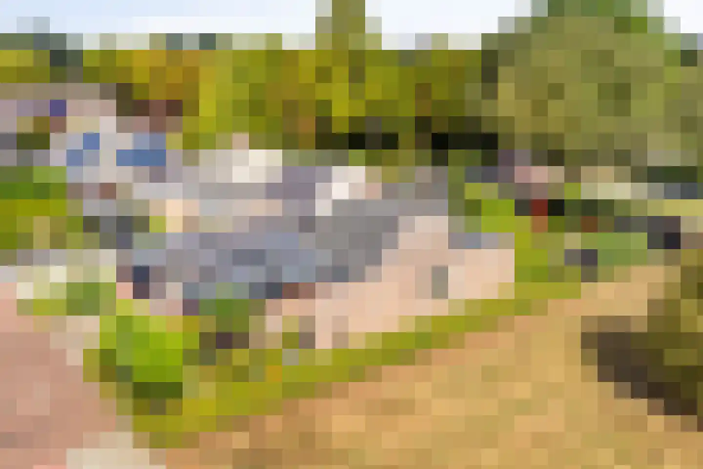 Wildenborg 79 Barneveld thumbnail 5