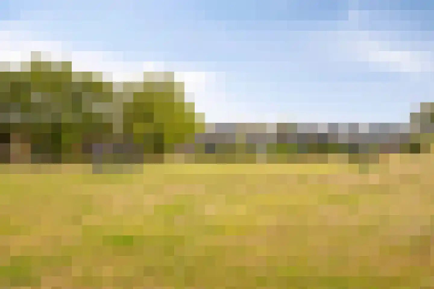 Wildenborg 79 Barneveld thumbnail 51