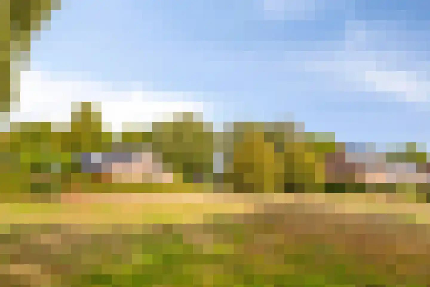 Wildenborg 79 Barneveld thumbnail 52