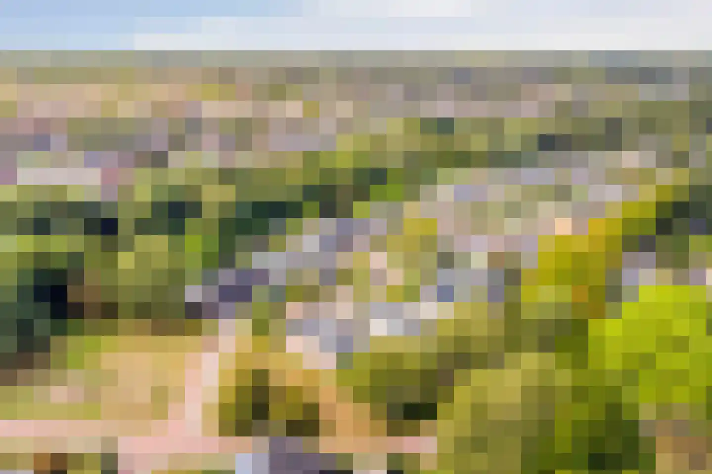 Wildenborg 79 Barneveld thumbnail 54