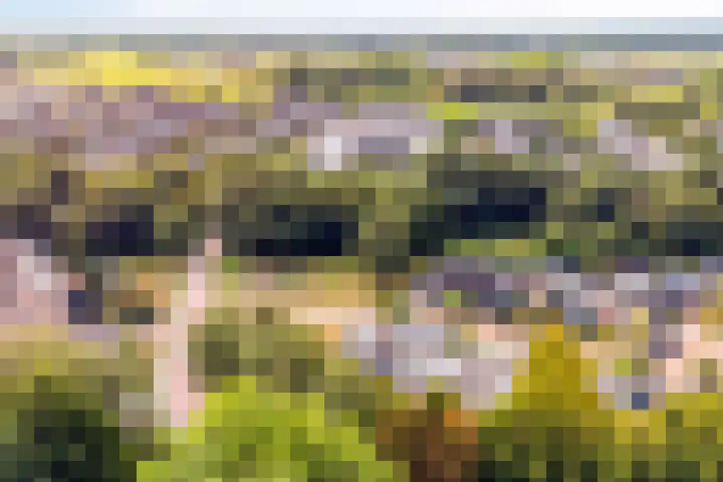 Wildenborg 79 Barneveld thumbnail 55
