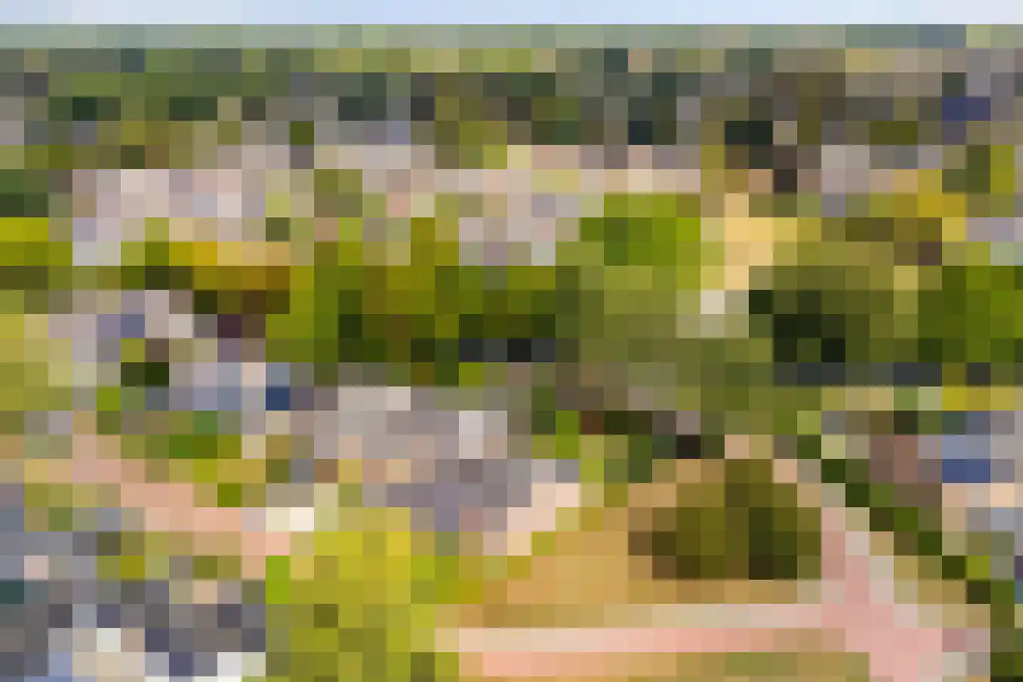 Wildenborg 79 Barneveld thumbnail 56