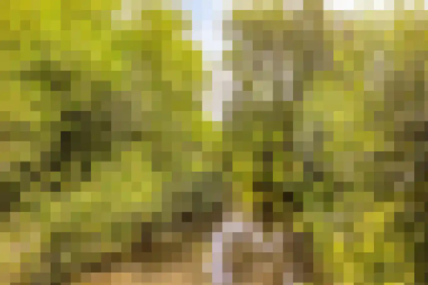 Wildenborg 79 Barneveld thumbnail 58