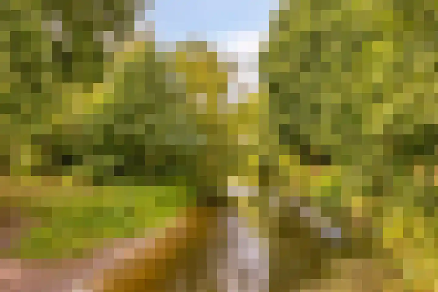 Wildenborg 79 Barneveld thumbnail 59