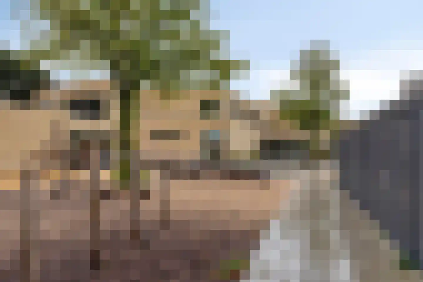 Wildenborghstraat 105 Den Haag thumbnail 38
