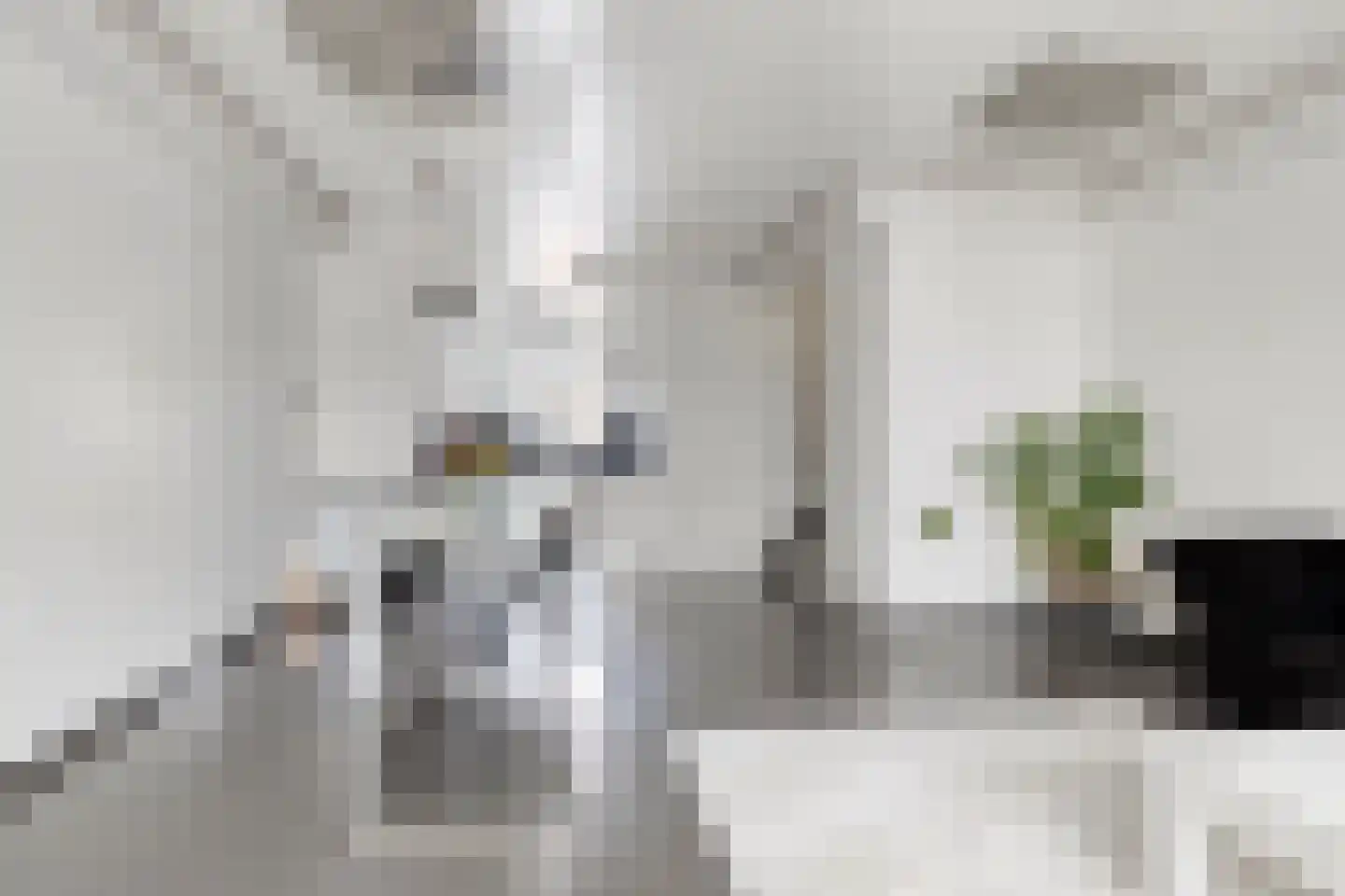 Wildenborghstraat 105 Den Haag thumbnail 5
