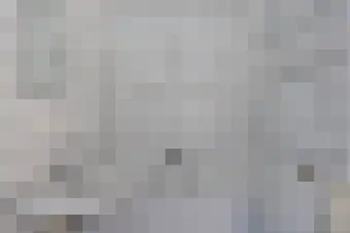Wildenborglaan 2 1 Arnhem thumbnail 15