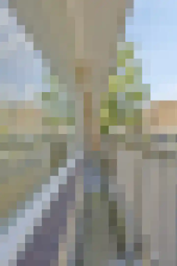 Wildenborglaan 2 1 Arnhem thumbnail 20