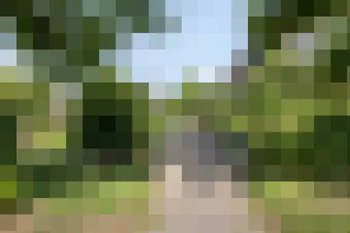 Wildenborglaan 2 1 Arnhem thumbnail 24