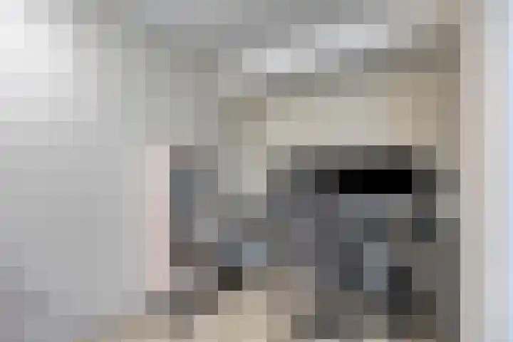 Wildenborglaan 2 Arnhem thumbnail 18