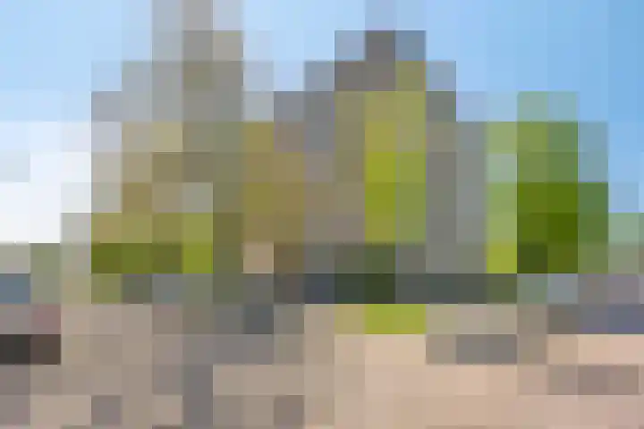 Wildenborglaan 2 Arnhem thumbnail 21