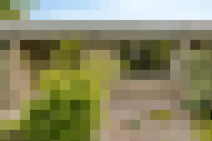 Wildenborglaan 20 Arnhem thumbnail 15
