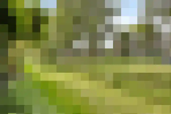 Wildenborglaan 20 Arnhem thumbnail 17