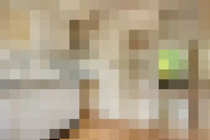 Wildenborglaan 20 Arnhem thumbnail 8