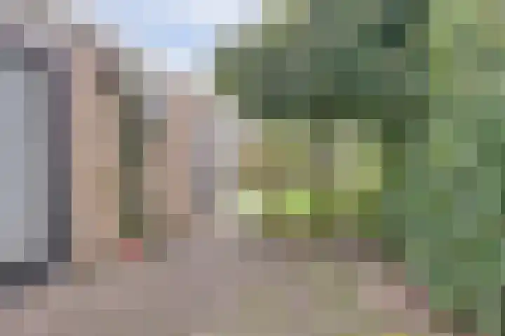 Wildenborglaan 27 Arnhem thumbnail 24