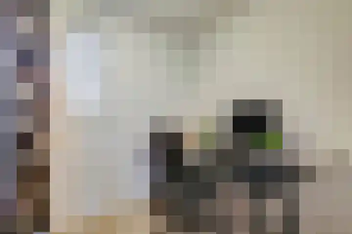 Wildenborglaan 30 Arnhem thumbnail 15