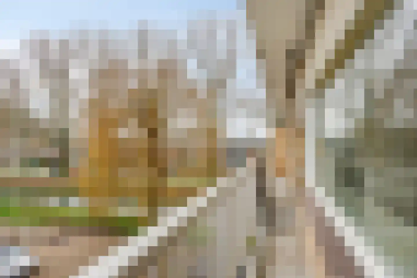 Wildenborglaan 34 2 Arnhem thumbnail 23